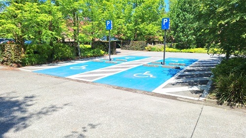 alg parkeerplaats arboretum kalmthout